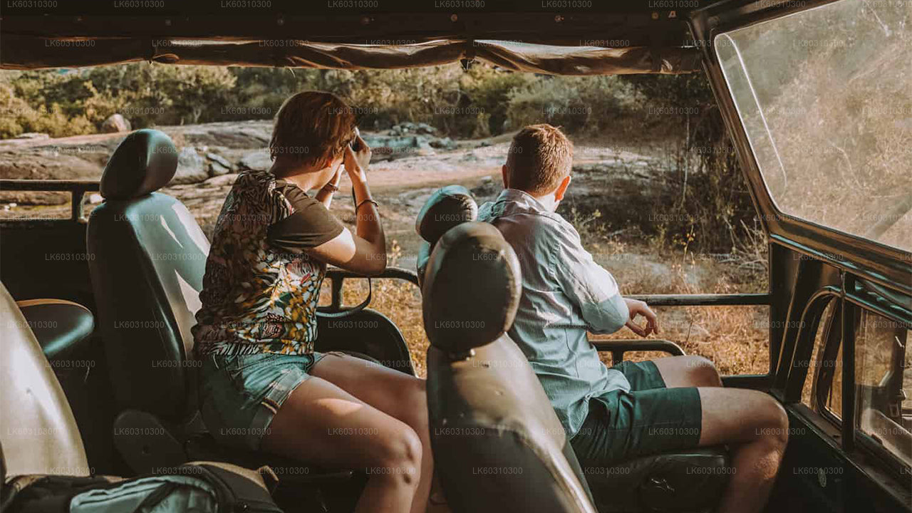 Safari w Parku Narodowym Yala z Ahangamy