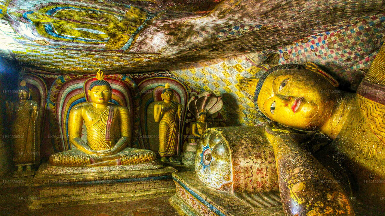 Sigiriya i Dambulla z Kolombo