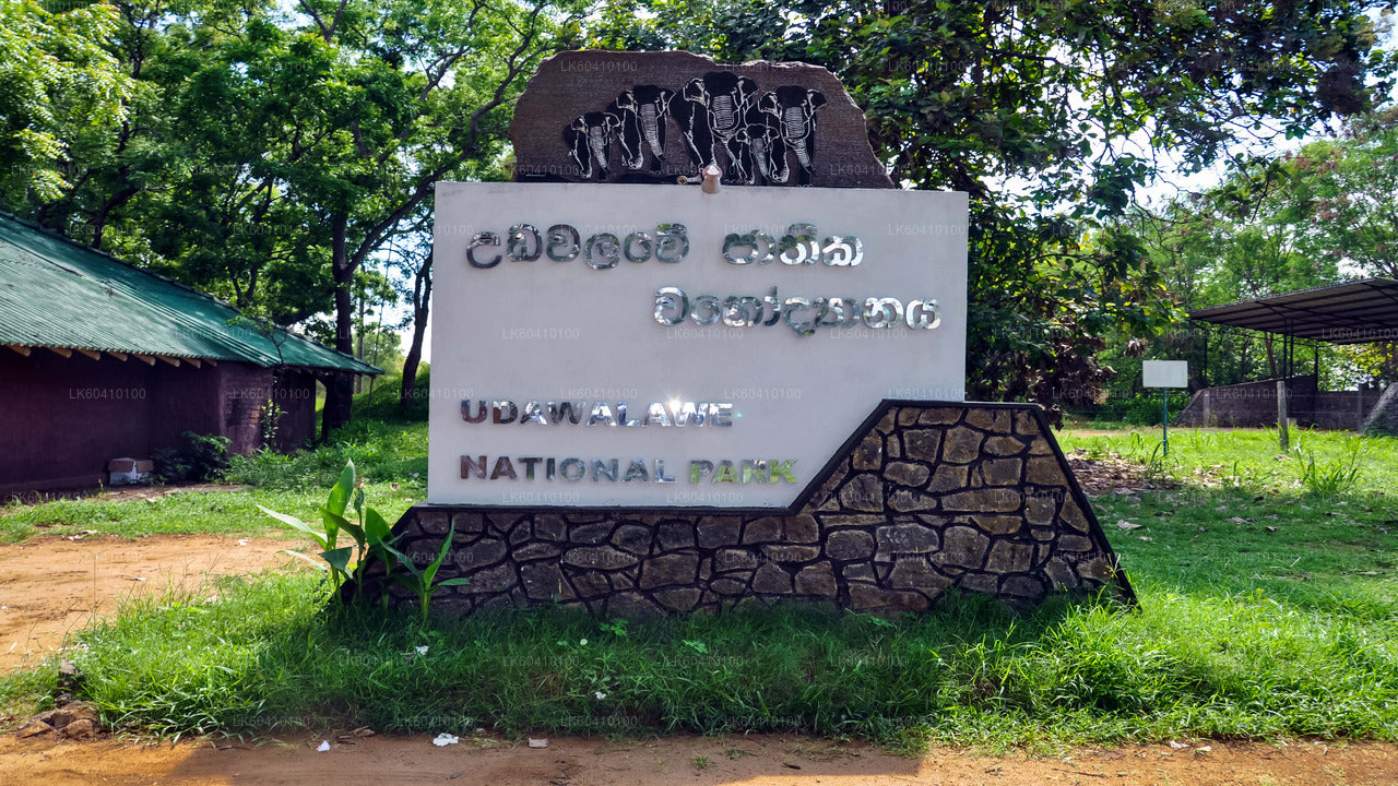 Safari w Parku Narodowym Udawalawe z Unawatuna