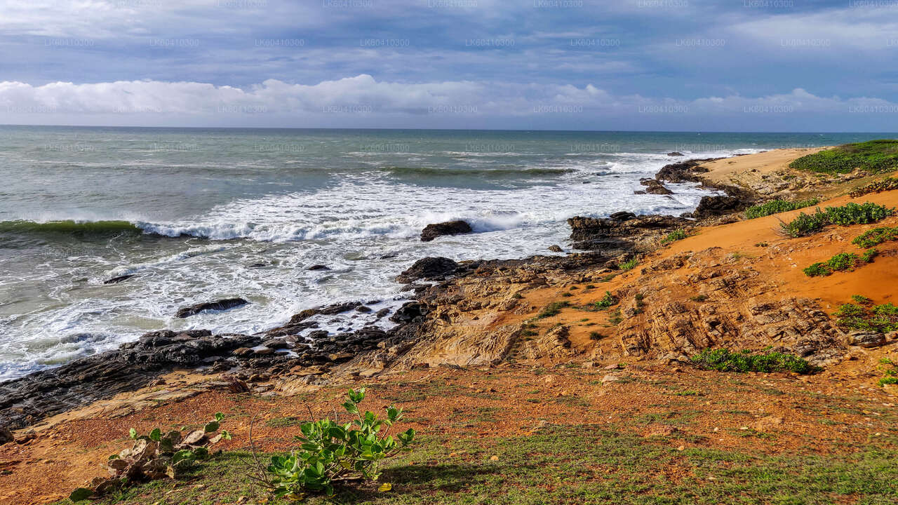 Safari w Parku Narodowym Bundala z Unawatuna