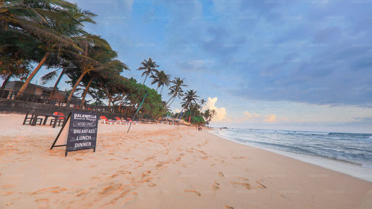 Najważniejsze atrakcje południowego wybrzeża z Unawatuny