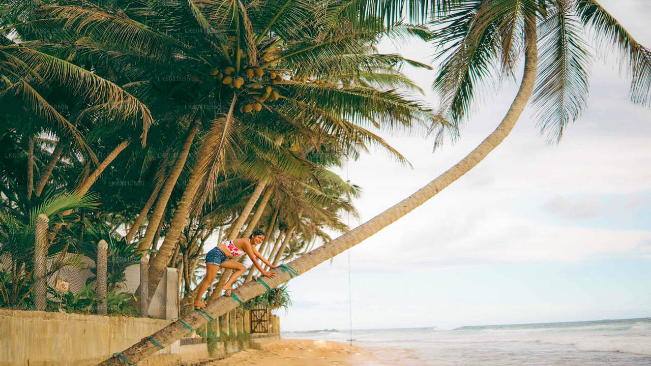 Najważniejsze atrakcje południowego wybrzeża z Unawatuny