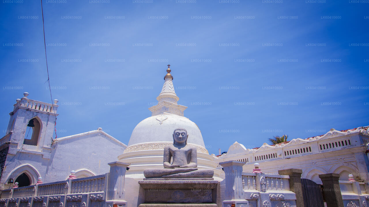 Ukryte świątynie i odosobnione wybrzeże – wycieczka z Unawatuny