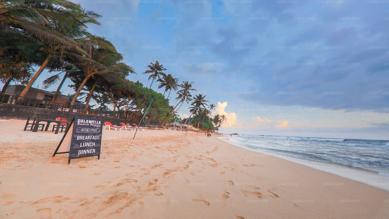 Ukryte świątynie i odosobnione wybrzeże – wycieczka z Unawatuny