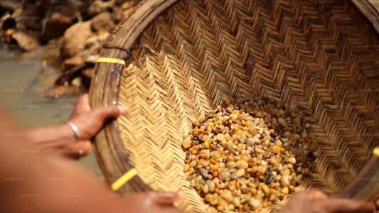 Przeglądaj kopalnie klejnotów w Ratnapurze z góry Lavinia