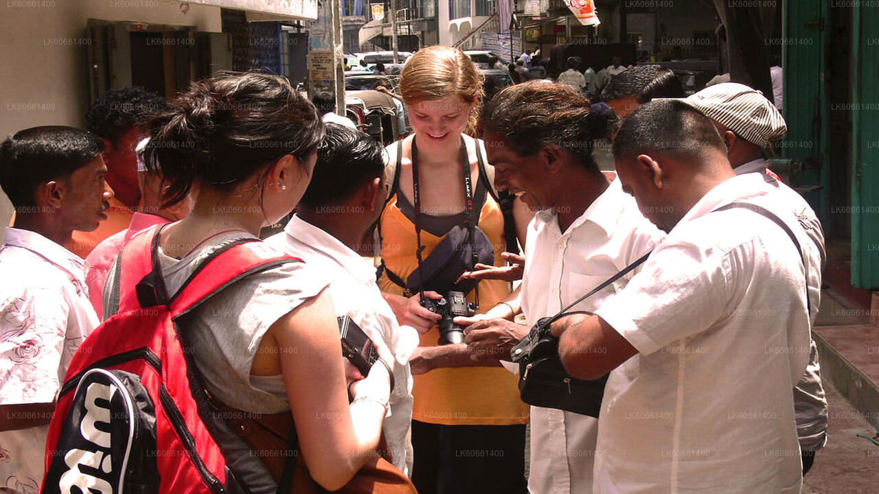 Przeglądaj kopalnie klejnotów w Ratnapurze z góry Lavinia