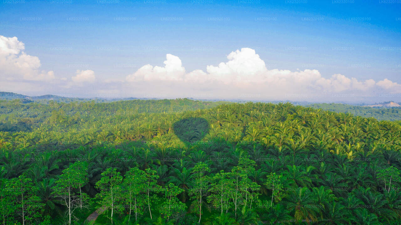 Wycieczka balonem z Habarany