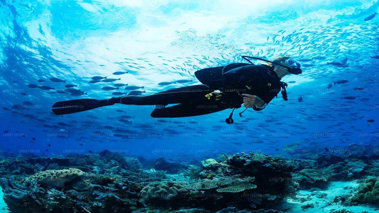 Nurkowanie z Hikkaduwy