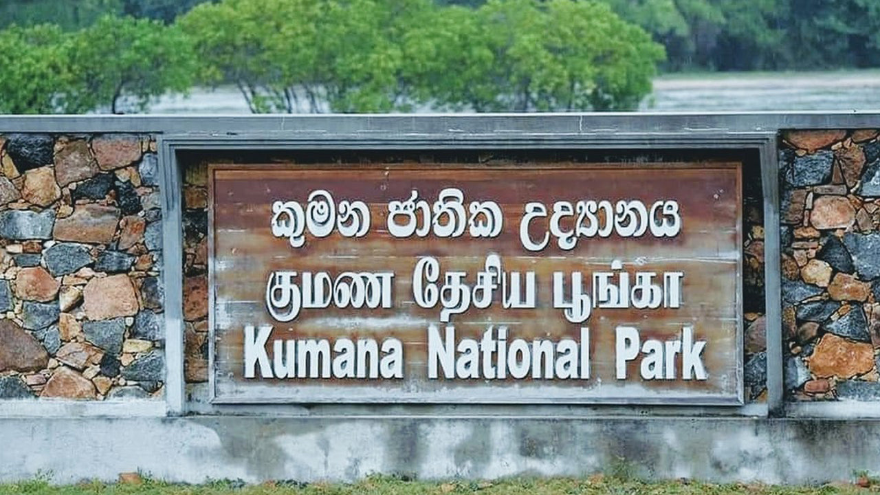 Entrance sign for Kumana National Park in Sri Lanka, featuring text in Sinhala script on a concrete structure with natural surroundings.