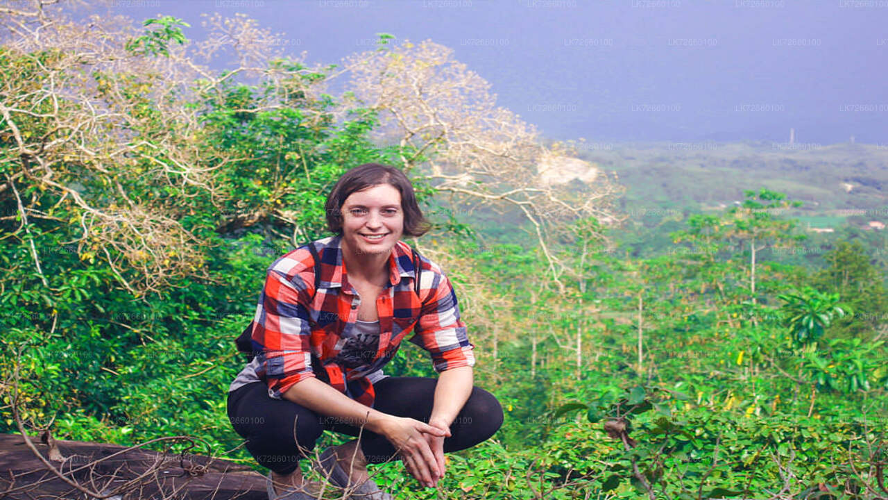 Leśna wspinaczka skałkowa z góry Lavinia