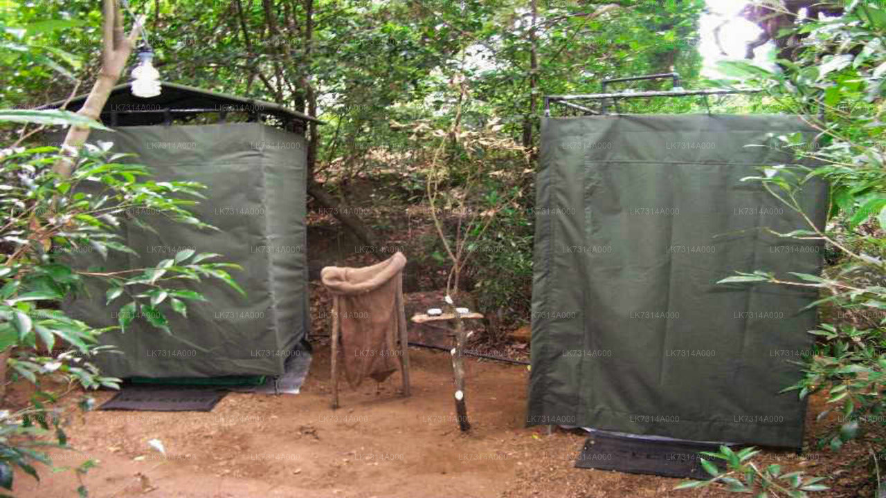 Two Night Camping in Yala National Park