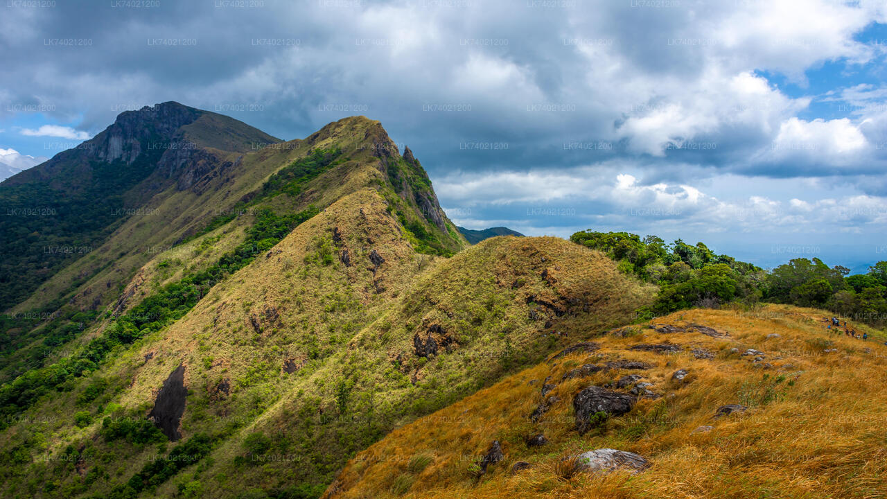 Wycieczka Kehelpothdoruwegala z Kandy