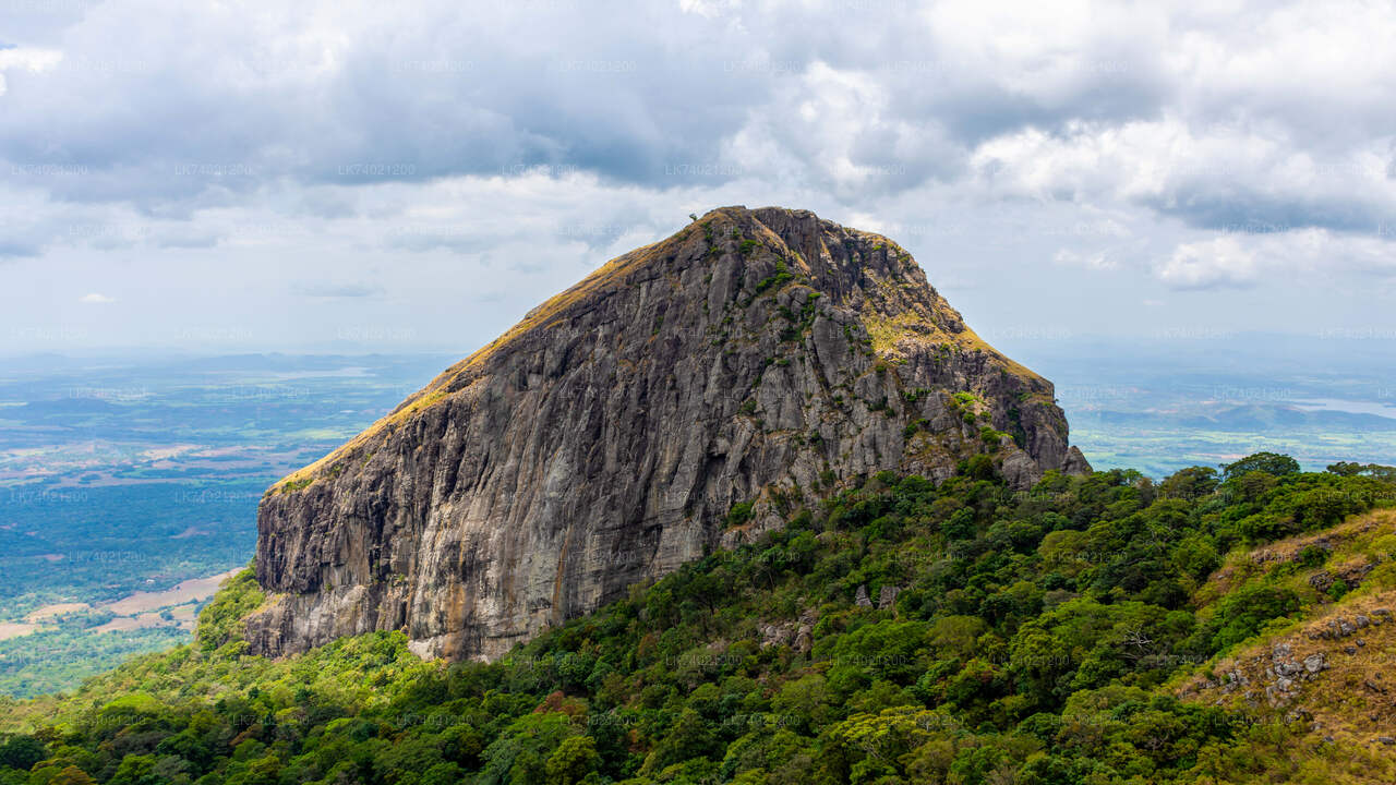 Wycieczka Kehelpothdoruwegala z Kandy