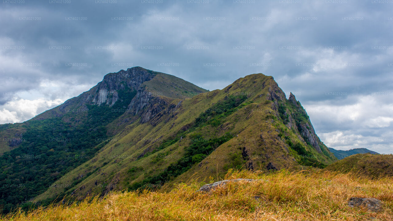 Wycieczka Kehelpothdoruwegala z Kandy