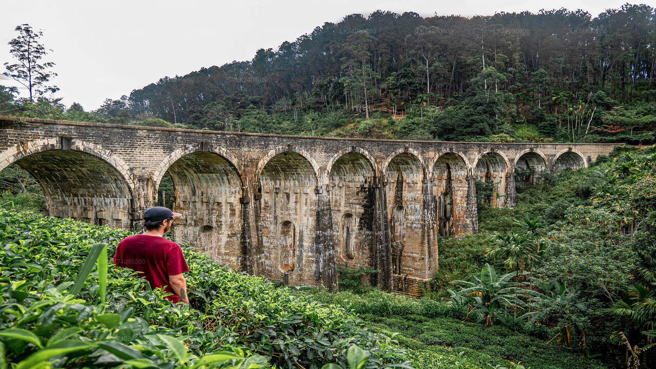 Wędrówka na szczyt Little Adam's Peak i most Nine Arches Bridge z Elli