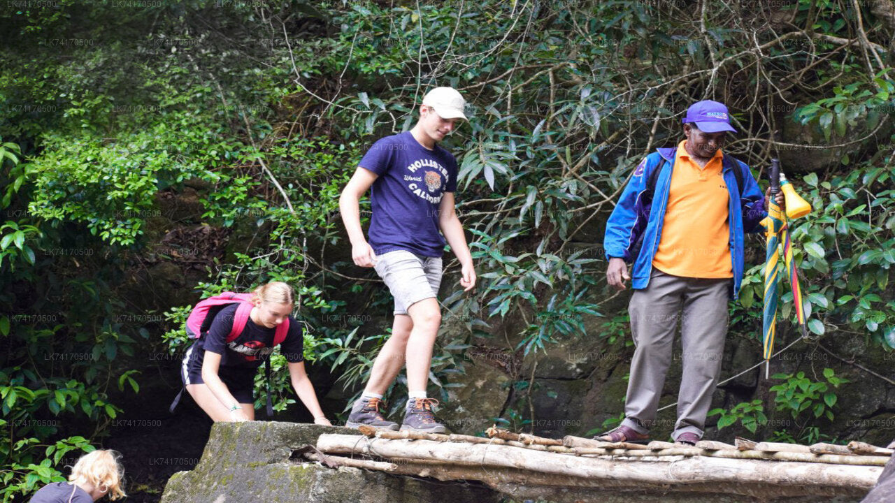 Trekking do wioski Heeloya z Kandy