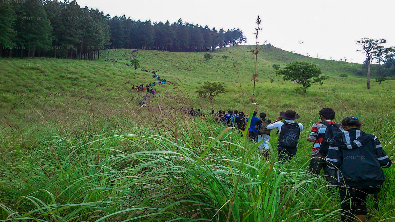 Trekking do wioski Heeloya z Kandy