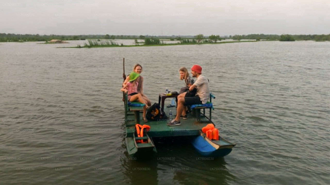 Obserwacja ptaków z łodzi w sanktuarium Kalametiya z Tangalle
