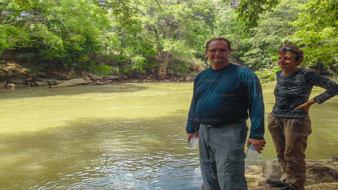 Safari z obserwacją ptaków w Parku Narodowym Udawalawe z góry Lavinia