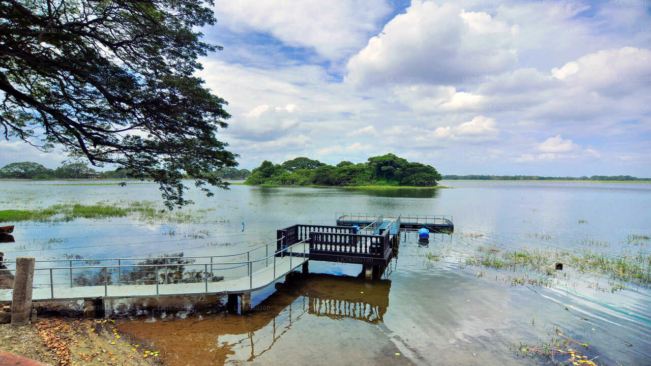 Przejażdżka łodzią po jeziorze Tissamaharama