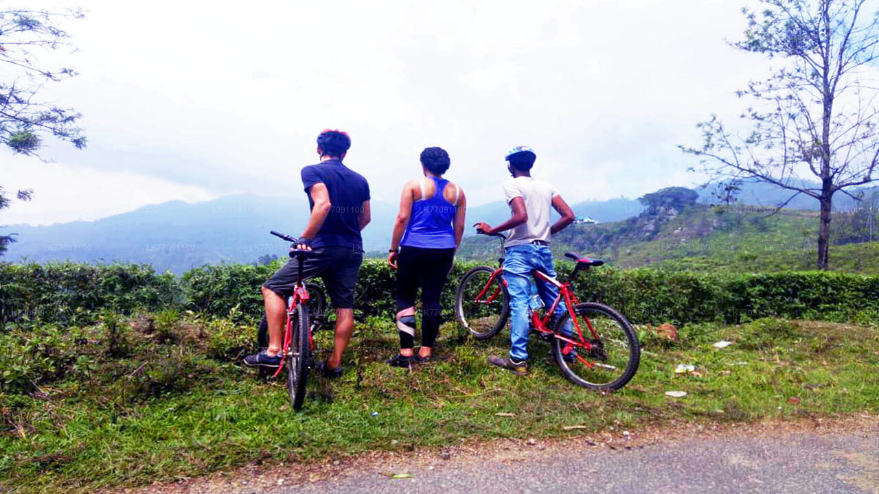 Przygoda na rowerze od Elli