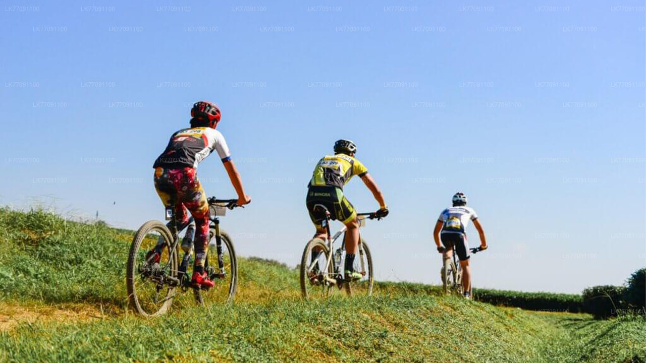 Przygoda na rowerze od Elli