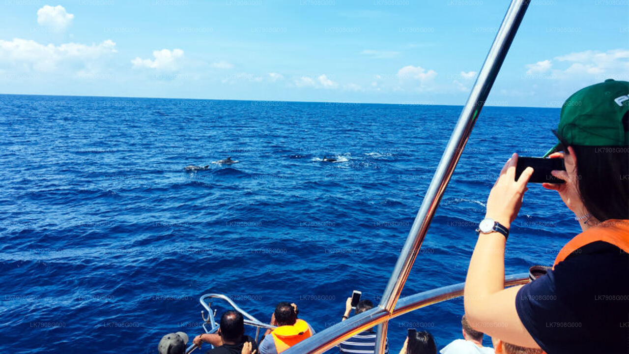 2-nocny rejs w Mirissie