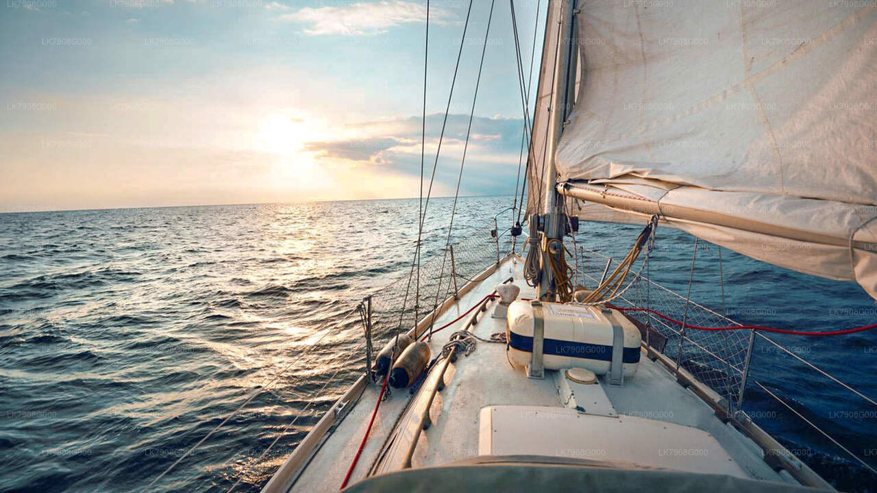 2-nocny rejs w Mirissie