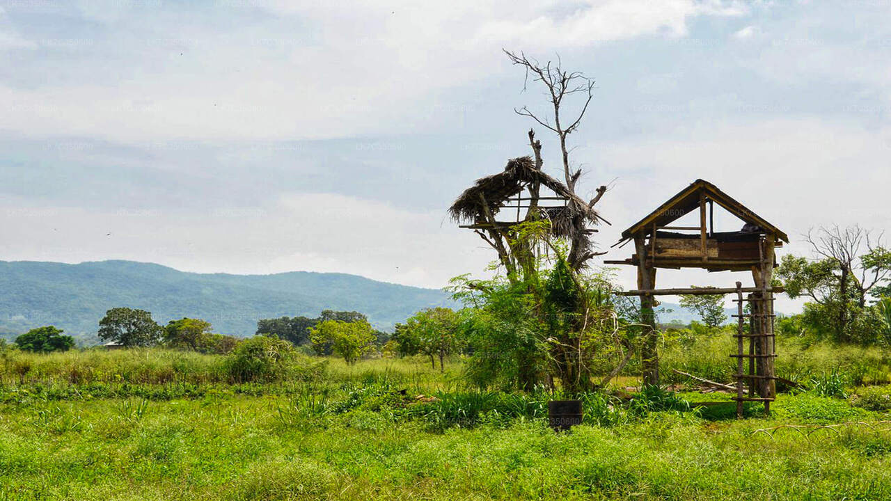 Chena Lunch Experience od Tissamaharama