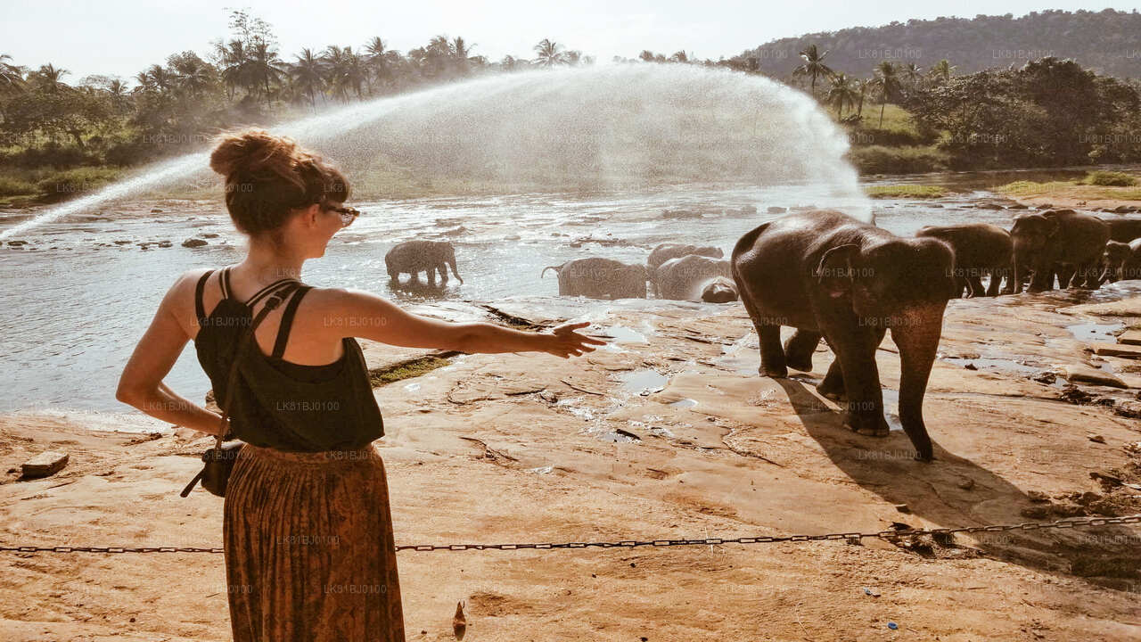Wycieczka po mieście Kandy z portu w Kolombo