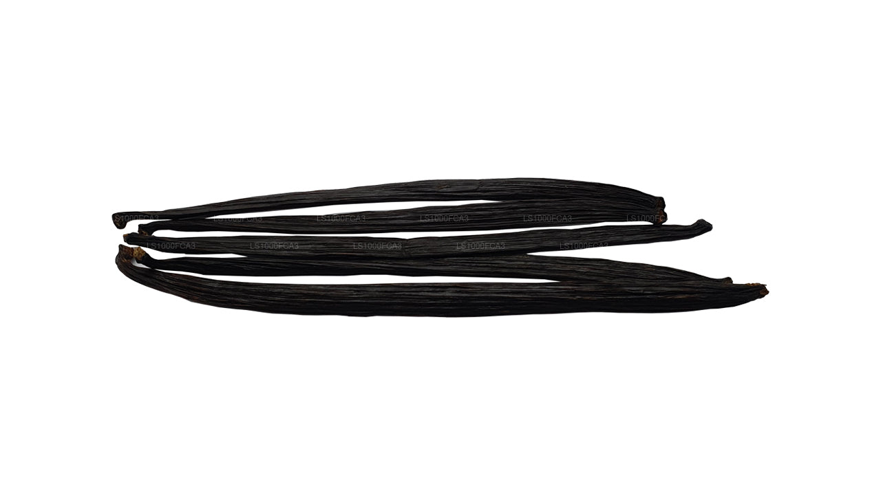 Lakpura Sri Lanki (Cejlon) Klasa „A” Naturalna fasola waniliowa