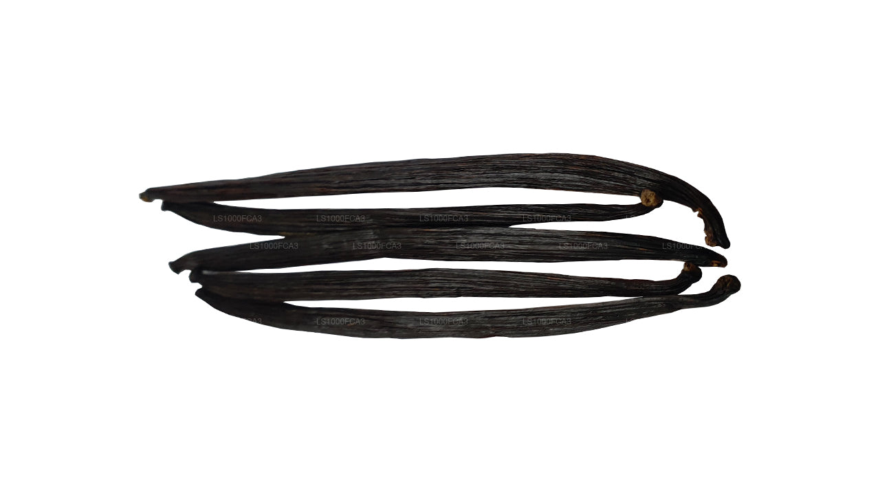 Lakpura Sri Lanki (Cejlon) Klasa „A” Naturalna fasola waniliowa