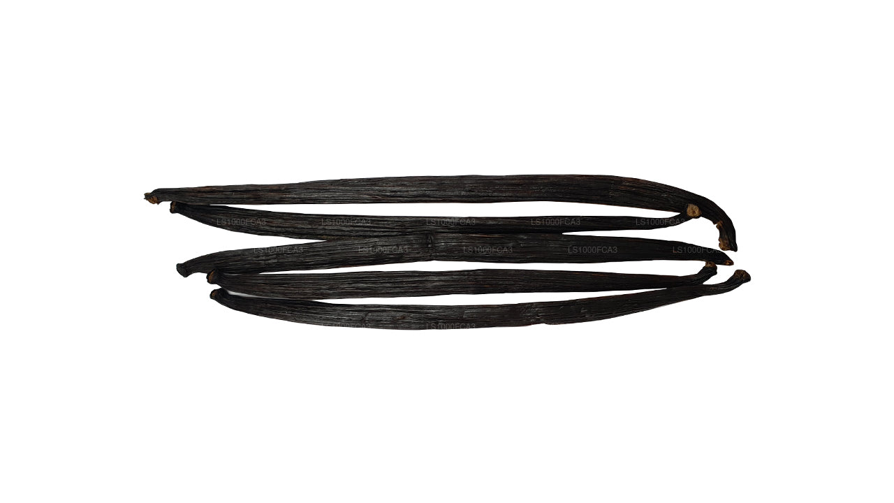 Lakpura Sri Lanki (Cejlon) Klasa „A” Naturalna fasola waniliowa