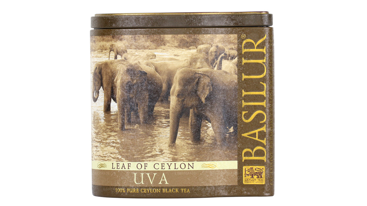 Basilur Liść Cejlonu „Uva” (100g) Caddy