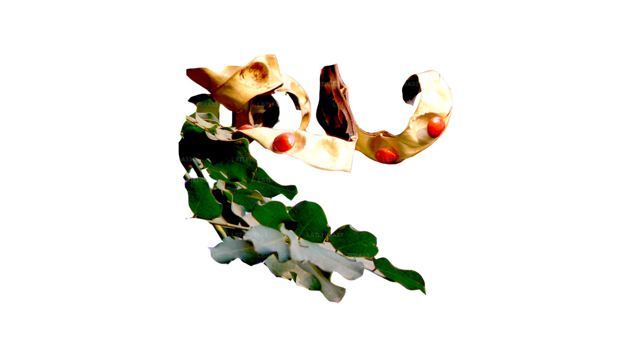 Lakpura Madatiya Seeds (Nasiona Czerwone, Nasiona Dekoracyjne) 250 Nasiona