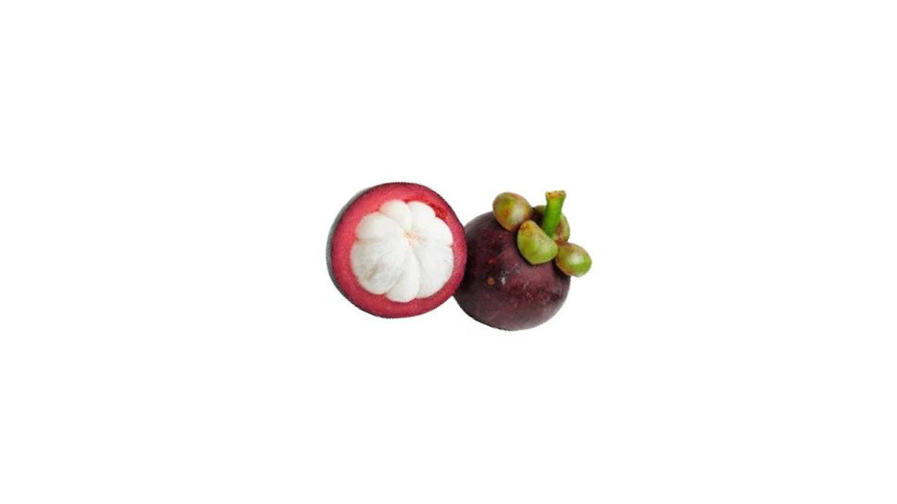 Lakpura Mangosteen (Mangus) Plant